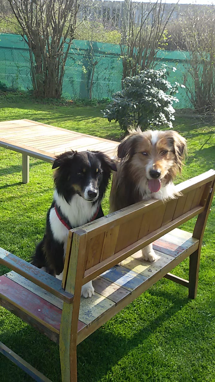 Balin Chewy von der Straubenhalde